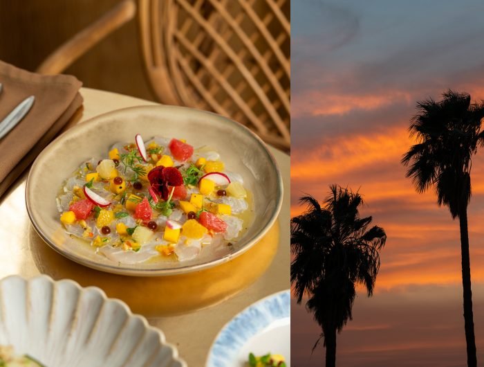 Dîner Spectacle à Marrakech: The Ultimate Rooftop Experience at Dardar